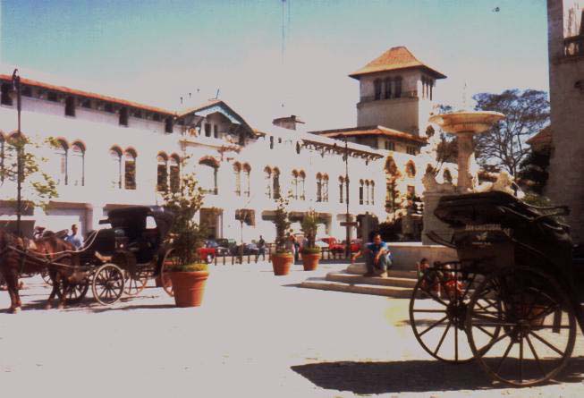 horse carriages at tourist area!!